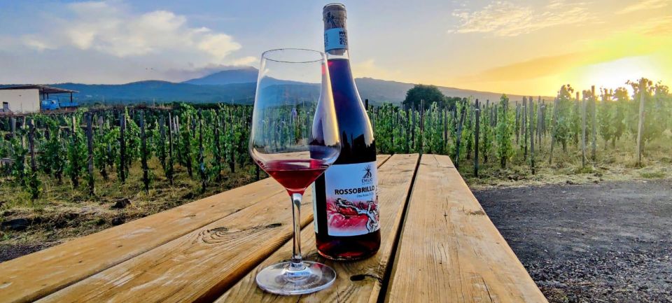 Wine tour with wine tasting - Should you book the Emilio Sciacca Etna Wine tour?