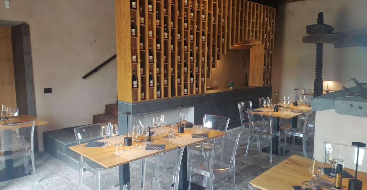 Wine tour with wine tasting - Etna’s Vineyard and technical tasting: the pairing that makes it click