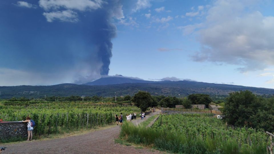Wine tour with wine tasting - What you get for $34: solid value if you want both context and wine