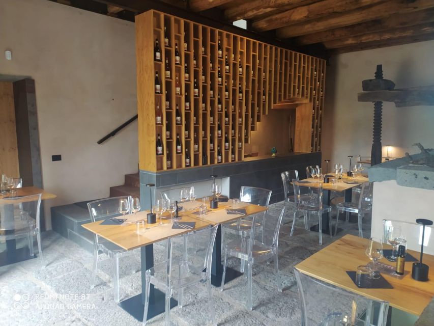 Wine tour with wine tasting - Timing and route: how the 100 minutes usually feels in real life