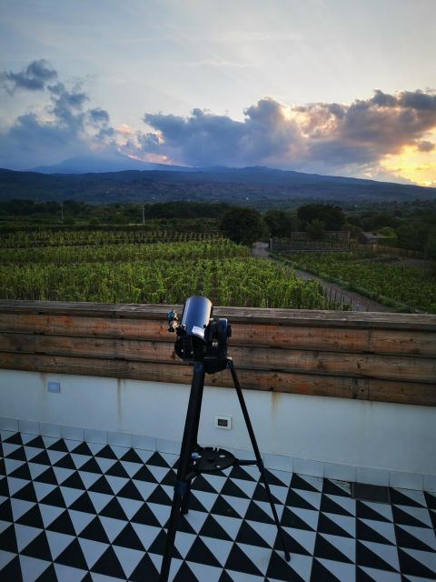 Wine tour with wine tasting - Language and guide style: you’ll get explanations, not just facts