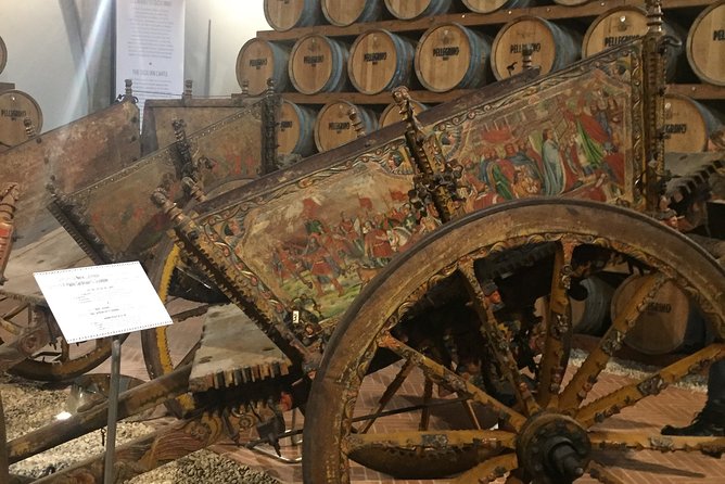 Winery tasting in Marsala and Mothia lagoon tour - Isole dello Stagnone: sailing around Motìa in a flat keel boat