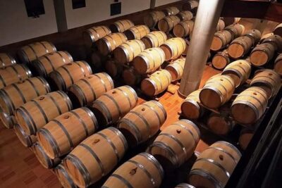 Winery tasting in Marsala and Mothia lagoon tour - Mamma Caura salt pans and the 600 BC Phoenician story