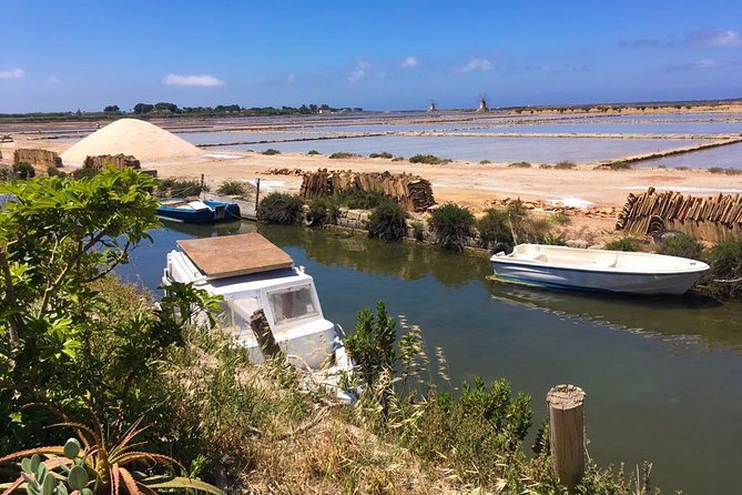 Winery tasting in Marsala and Mothia lagoon tour - Guide Alessio: how the day stays lively and useful