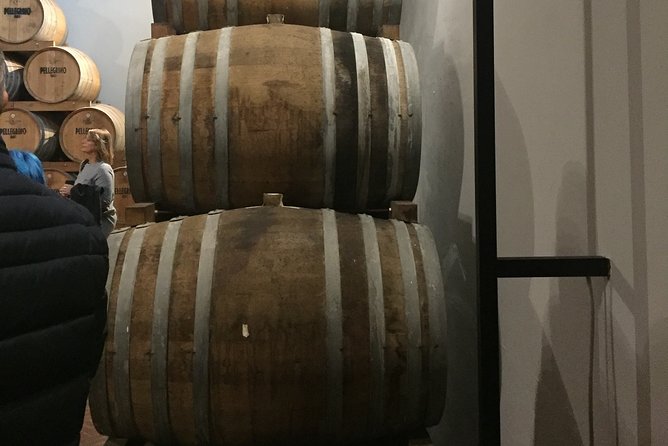 Winery tasting in Marsala and Mothia lagoon tour - Group size, timing, and how to show up