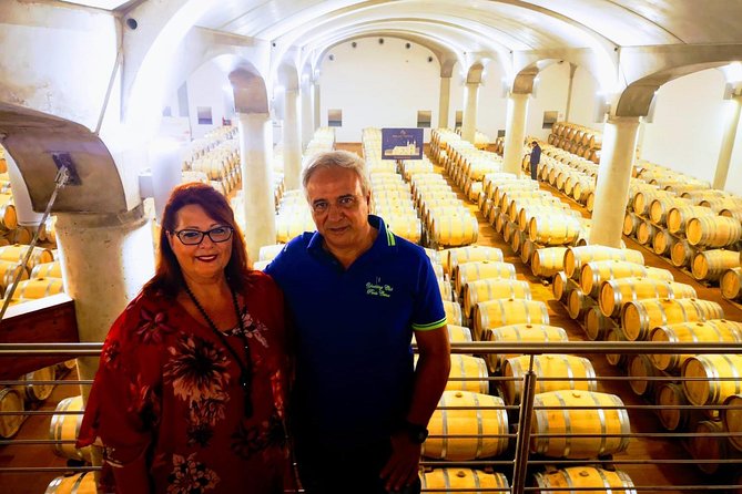 Winery tasting in Marsala and Mothia lagoon tour - Price and value: why $168.96 can make sense here