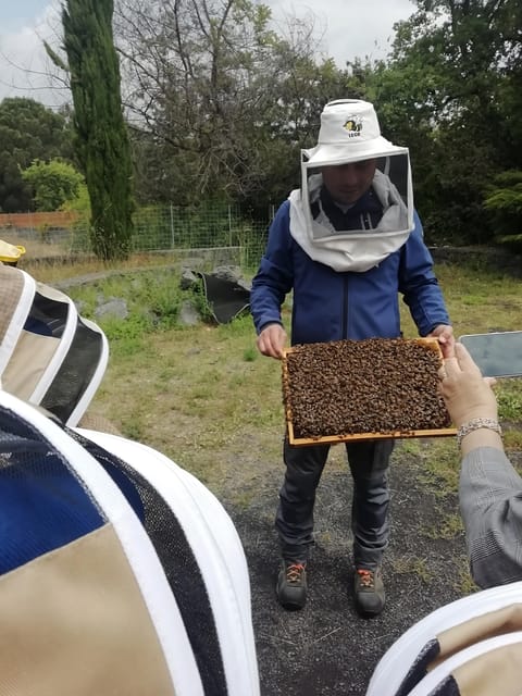 Zafferana Etnea:Honey extraction workshop and honey tasting - Bread, Cheese, and Pastries Made With On-Site Honey