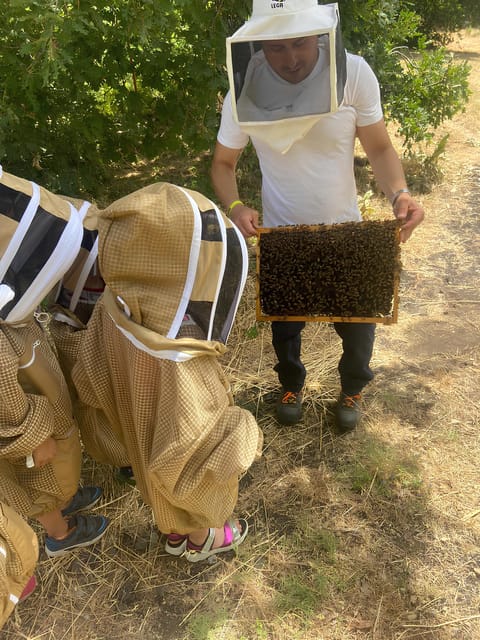 Zafferana Etnea:Honey extraction workshop and honey tasting - Practical Tips for a Smooth Visit in Sicily
