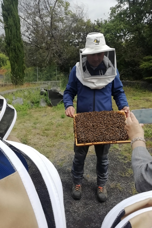 Zafferana Etnea:Honey extraction workshop and honey tasting - Watching Honey Get Extracted by Centrifuge
